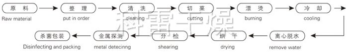 脫水蔬菜帶式干燥工藝流程